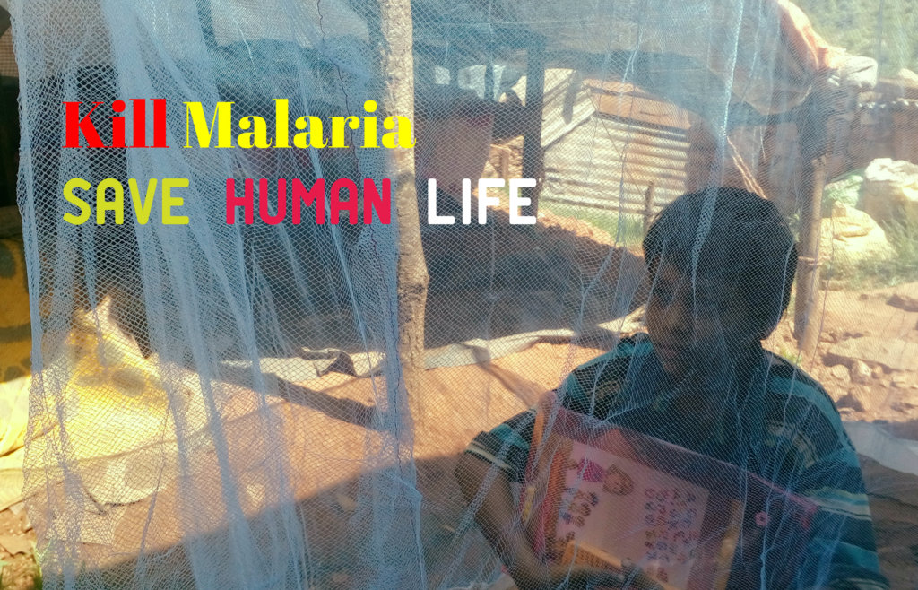 Give Mosquito nets; a Life safe from malaria GlobalGiving