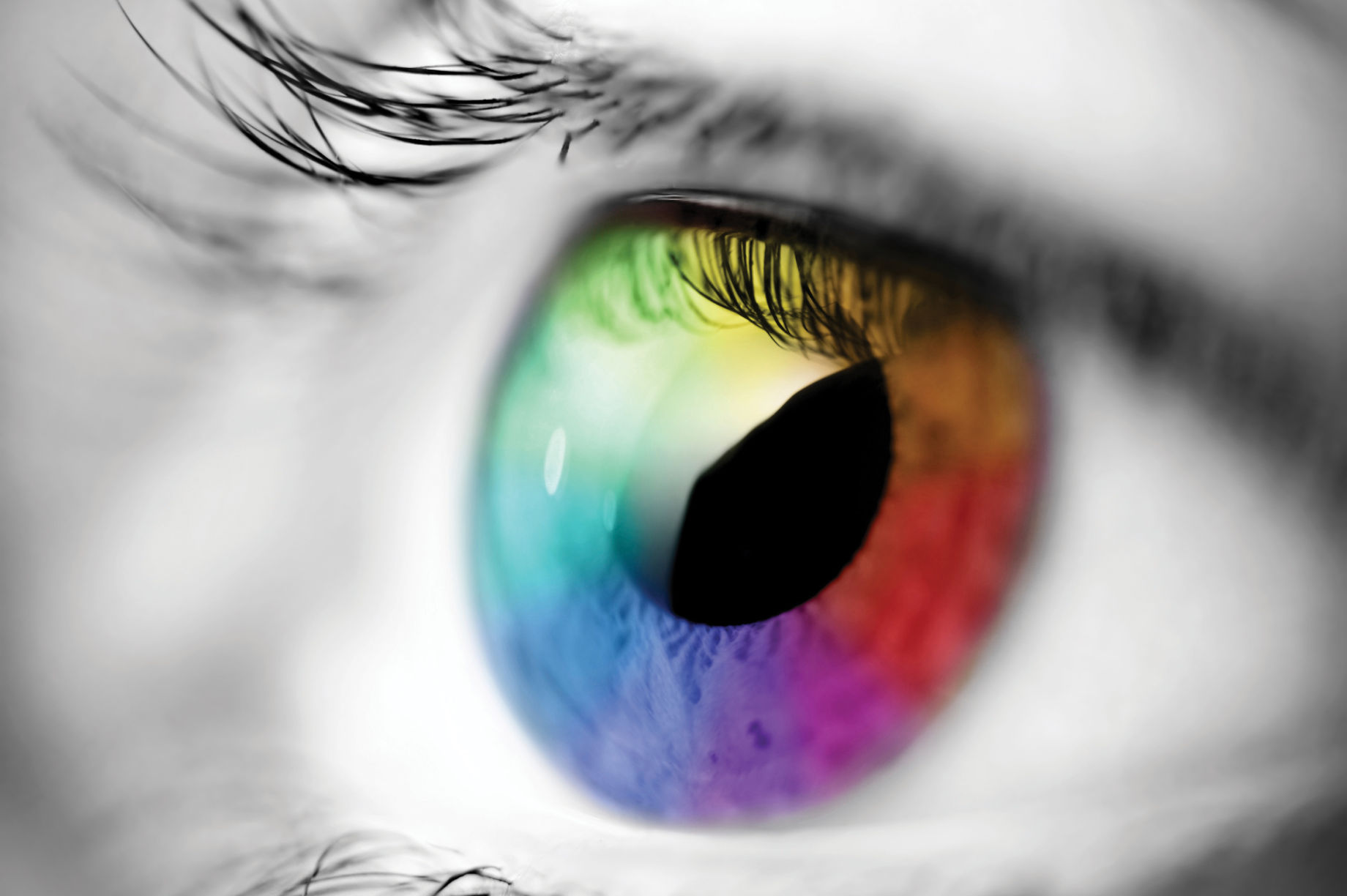 Give the Gift of Sight - GlobalGiving