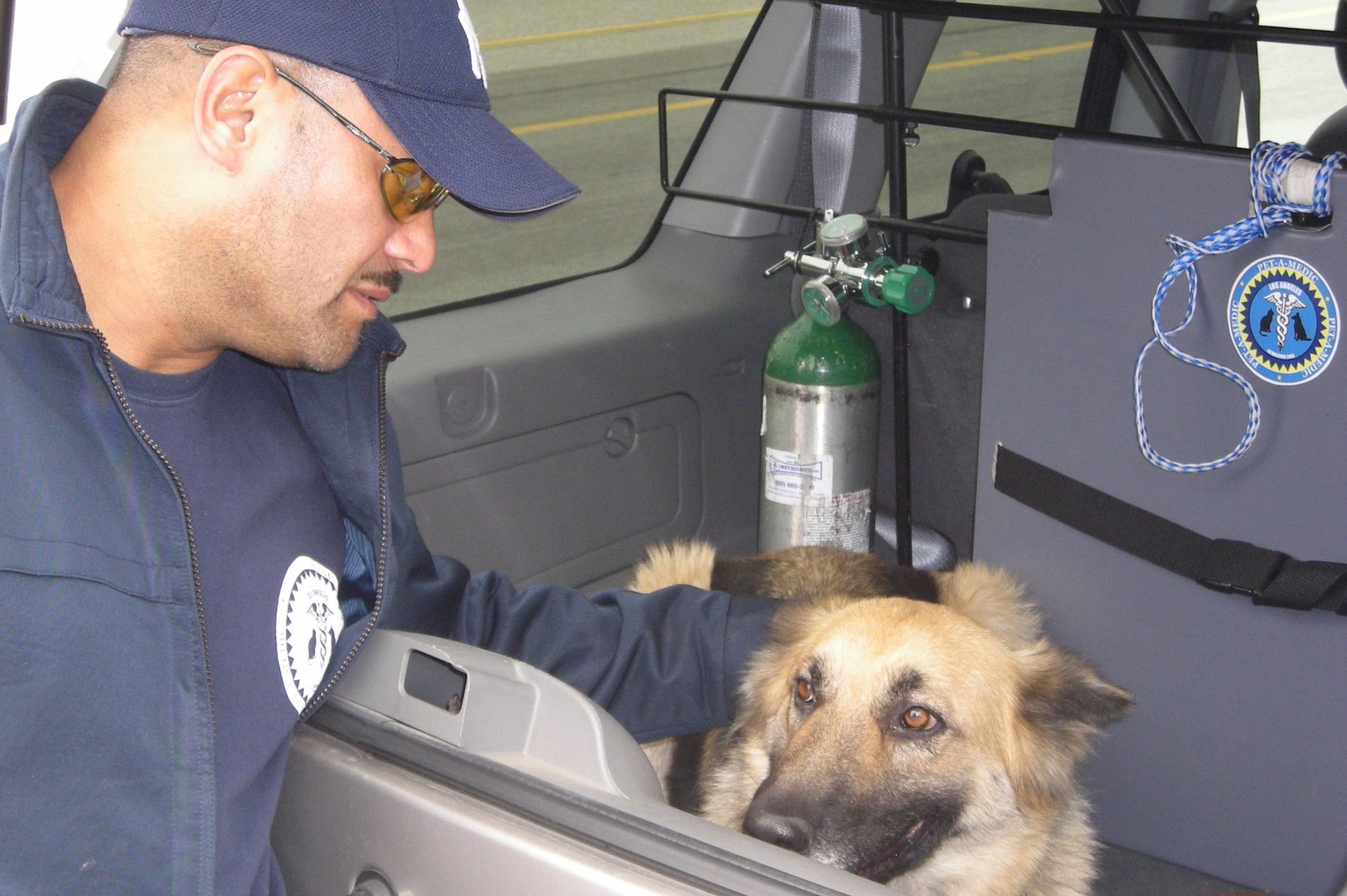 Emergency transport for pets in LA County GlobalGiving