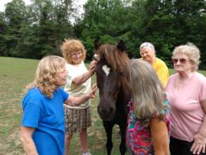 Image of HAICU participants at horseplay