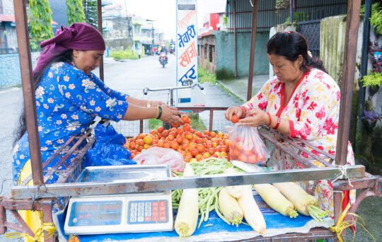 Break cycles of poverty, Empower single women!