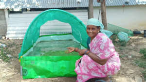 Income through agriculture for Tamil Nadu Families