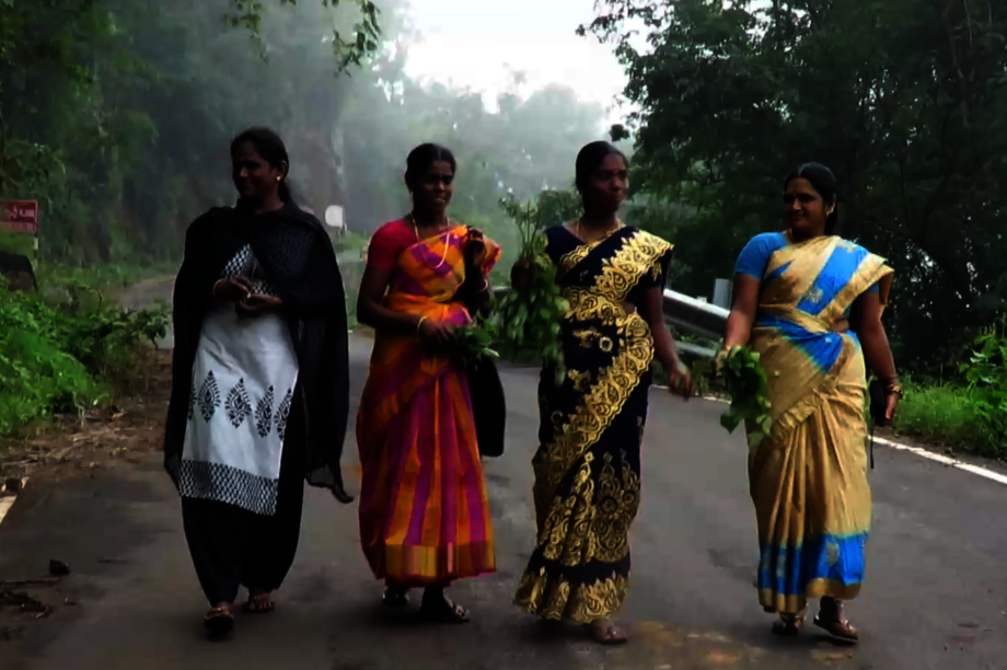 Adivasi Women Train Youth on Forest Foods in India - GlobalGiving
