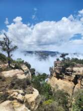 Eastern Afromontane Biodiversity Hotspot Program