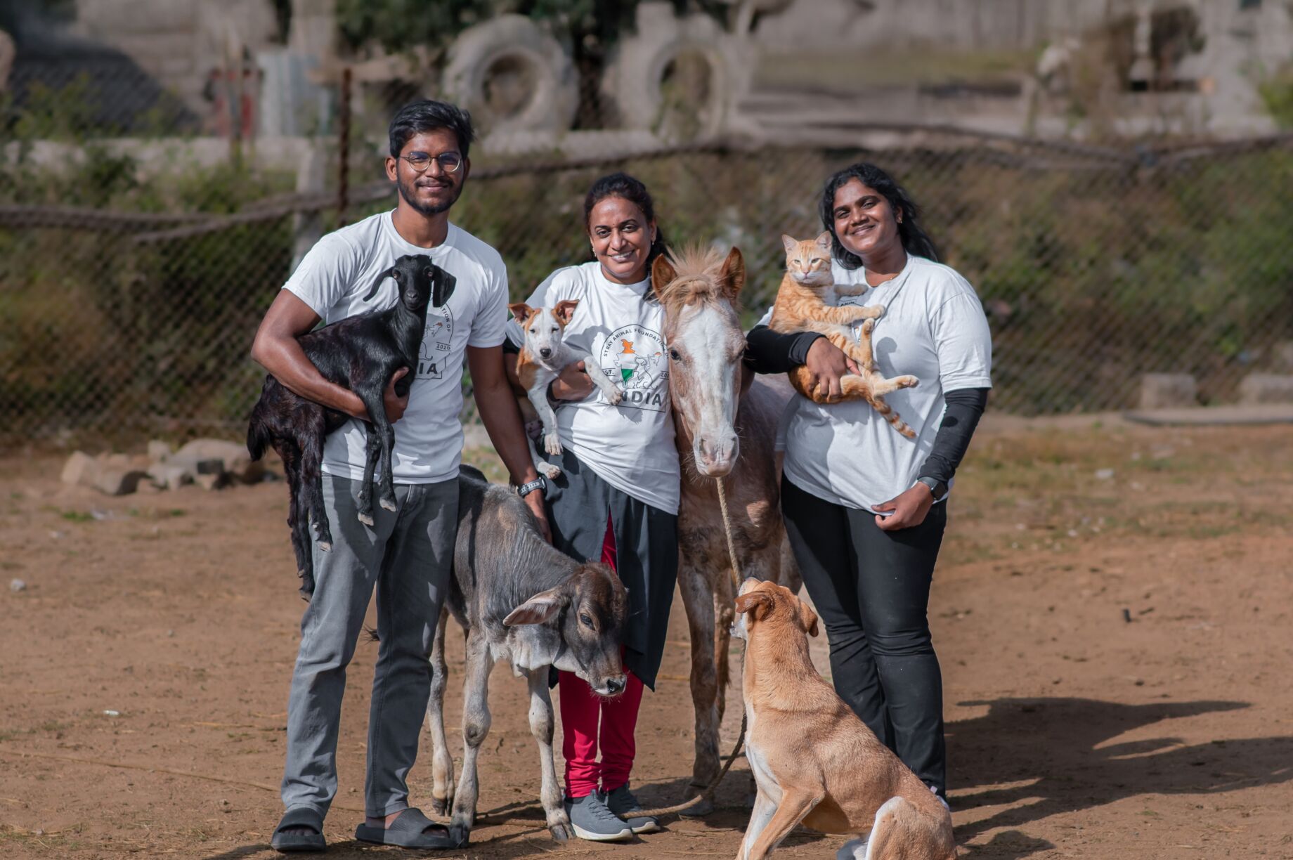 Reports on A Better Life For India's Stray Animals GlobalGiving