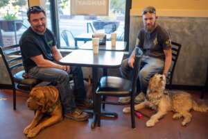 Training Rescue Dogs as Service Dogs for Veterans