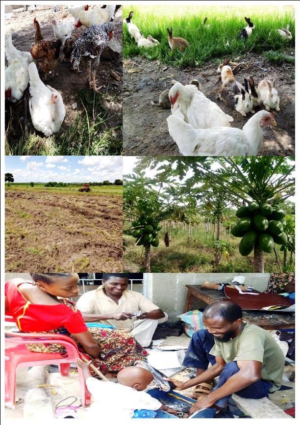 ORGANIC FARMING FOR PEOPLE WITH DISABILITIES - GlobalGiving
