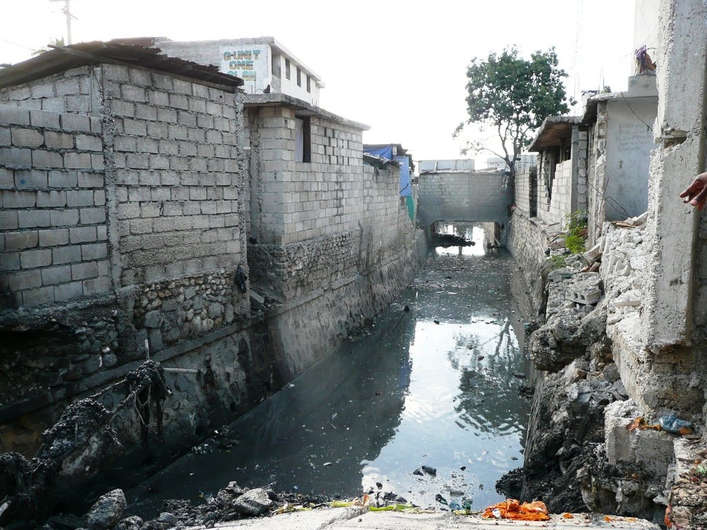 Help Provide Sanitation for Haiti GlobalGiving