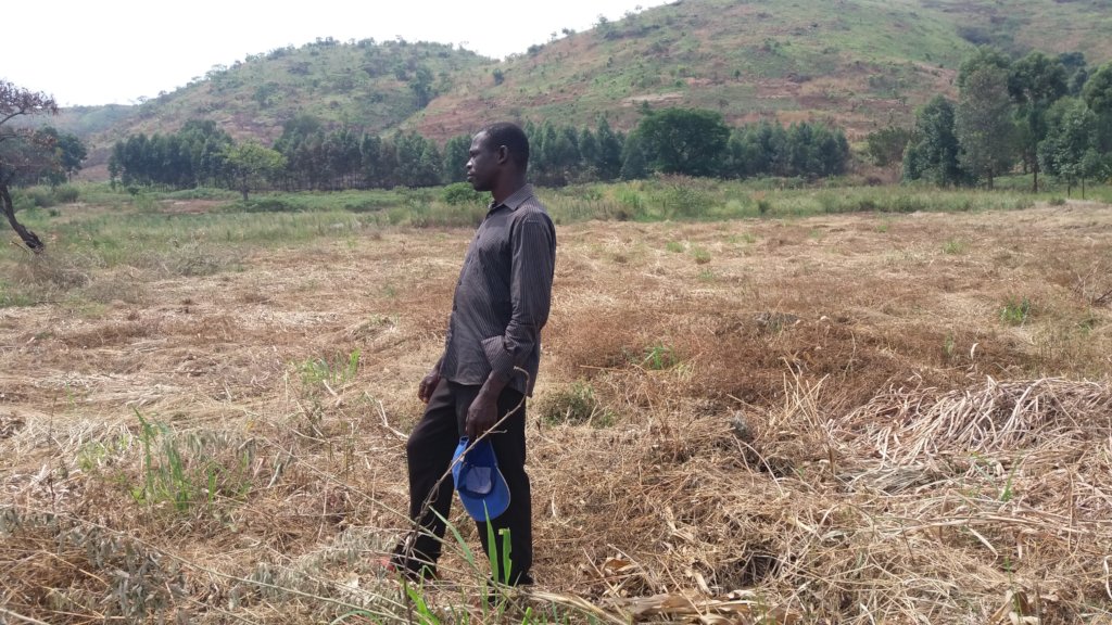 Donate to Climate change adoption for 100 farmers in Uganda GlobalGiving