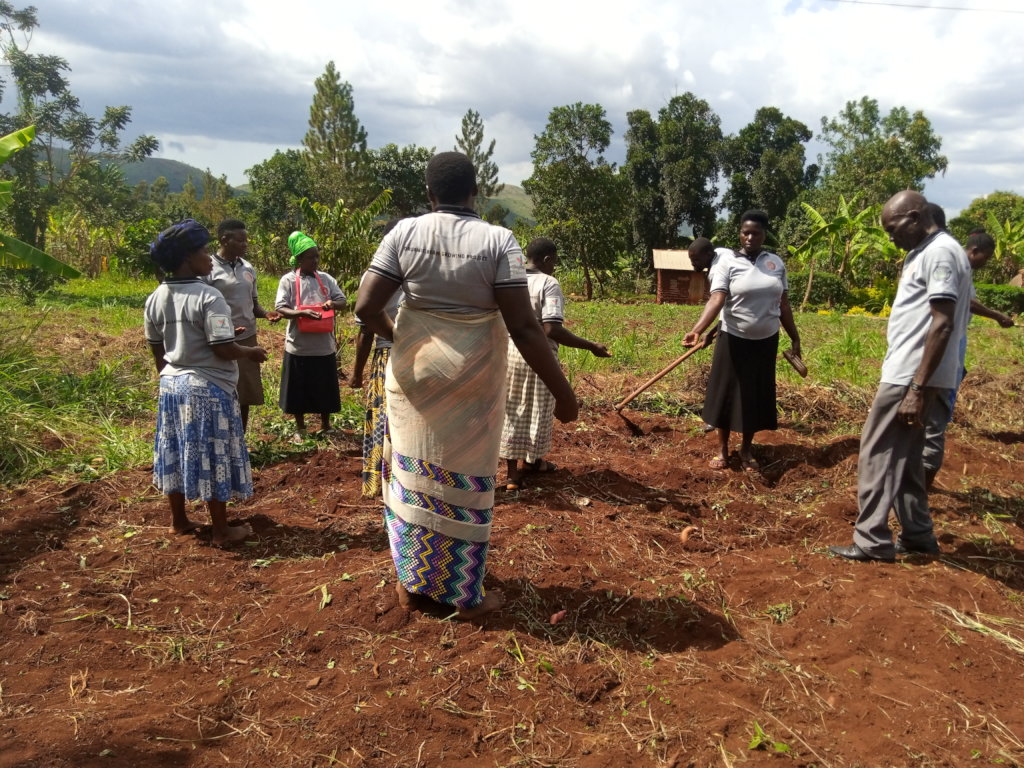 Donate to Climate change adoption for 100 farmers in Uganda GlobalGiving