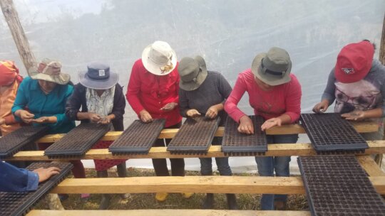 Stop hunger with indigenous families in Honduras