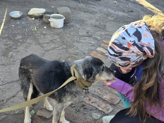 Help Ukrainian animals with our Emergency Fund.