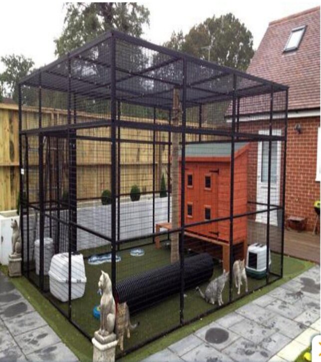 Reports on Outdoor Cats Enclosures GlobalGiving