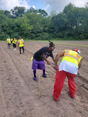 Assist 300 Families Access Local Homegrown Produce