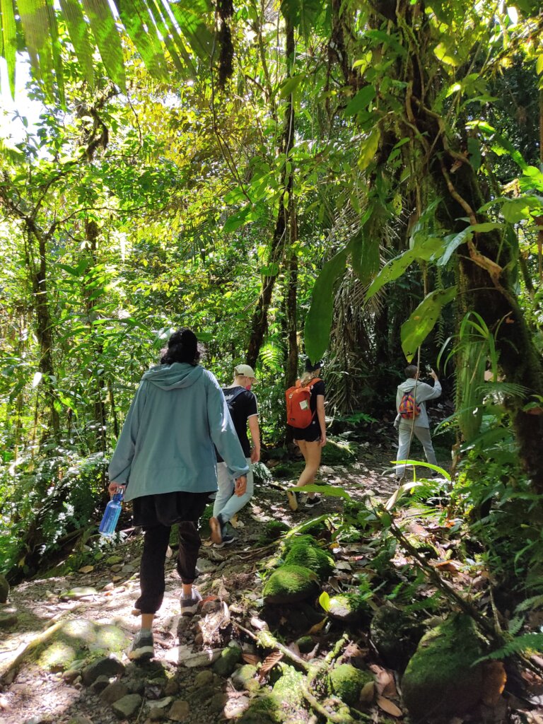 Creating A Culture Of Sustainability