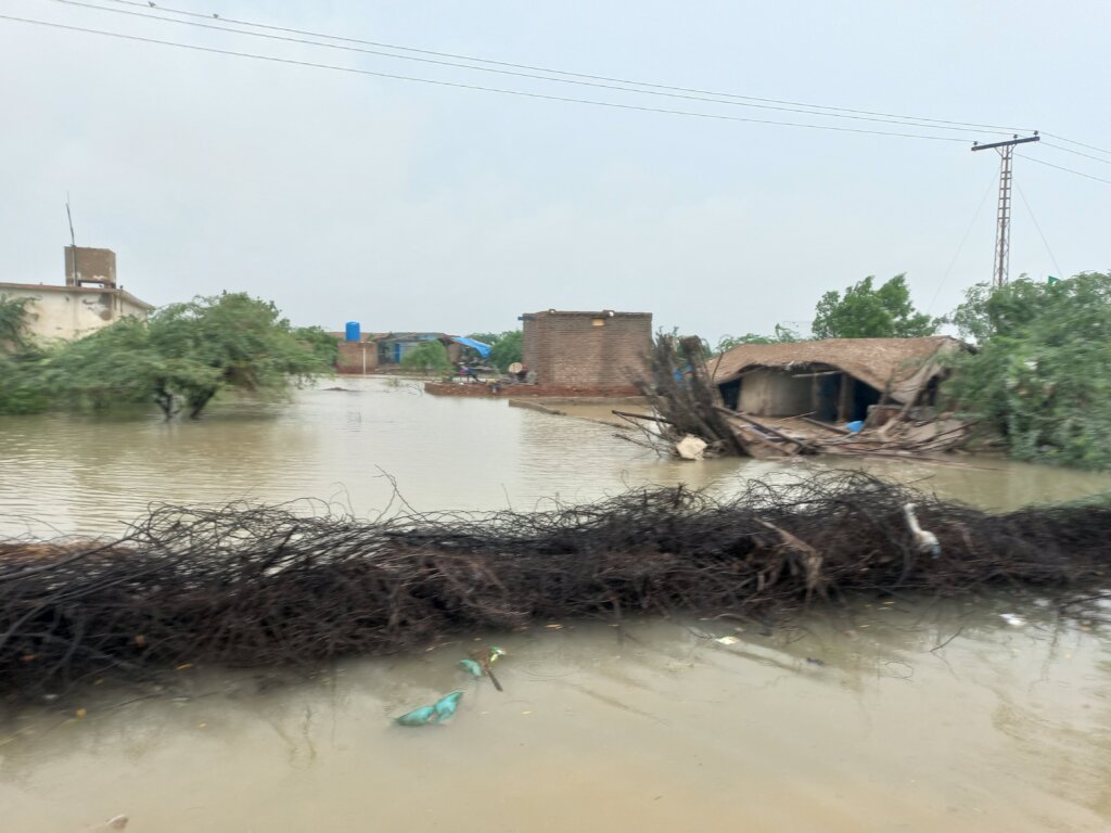 One Dollar Appeal for Flood 2022 Affected Families GlobalGiving