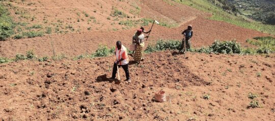 Join us in establishing a neighborhood greenhouse.