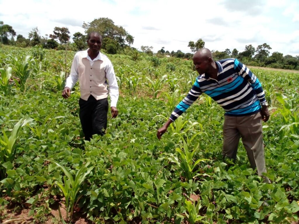 Donate to Support food security & Livelihood of 1000 Ugandan - GlobalGiving