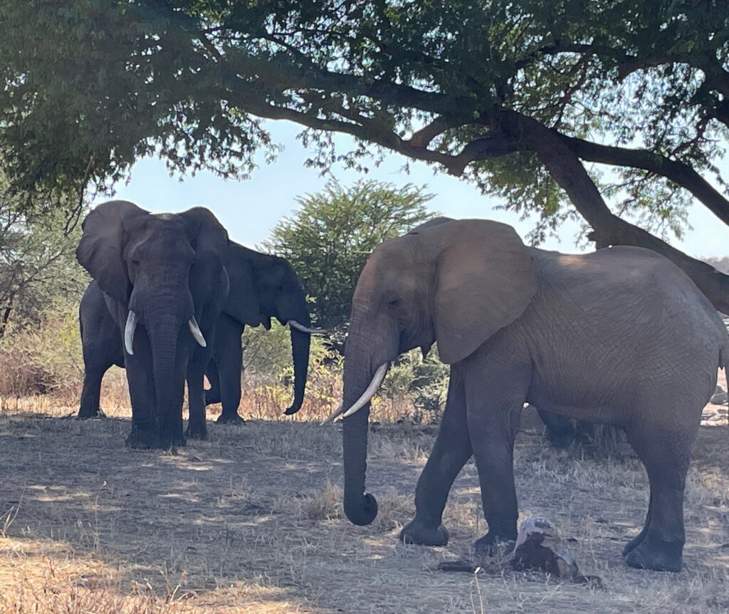 Support Women's WONDER Hubs in Tanzania GlobalGiving