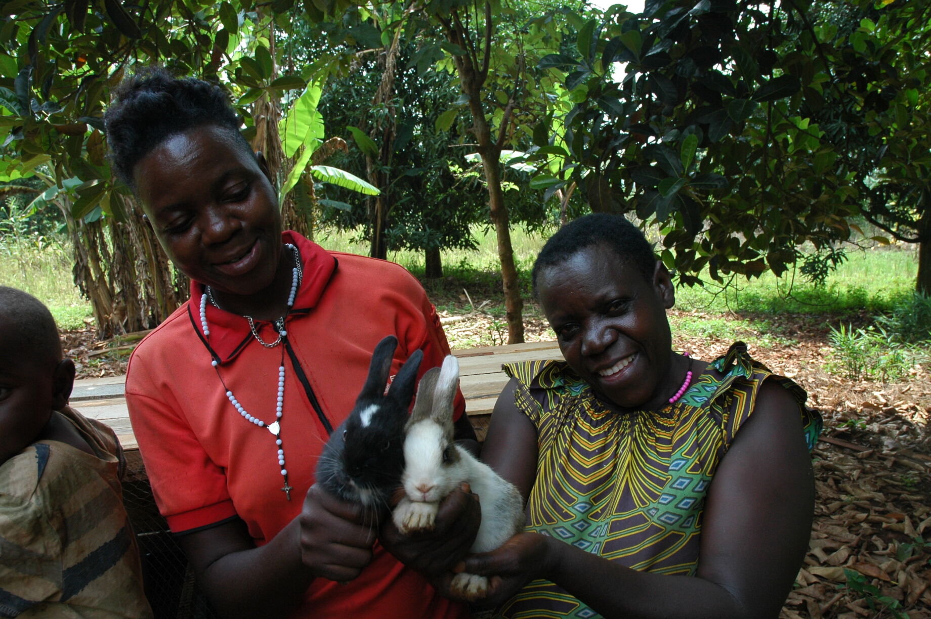 Give a Rabbit, improve of Ugandan farmers GlobalGiving