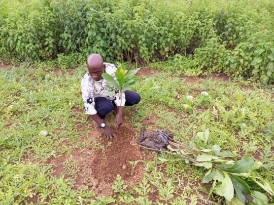 ANNUAL COMMUNITY TREE PLANTING FOR LIVELIHOODS