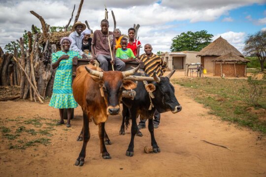 Help Families Grow their Own Food in Rural Uganda