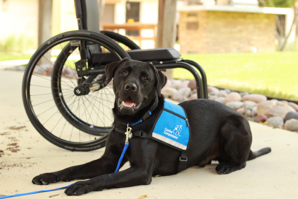Photos from Canine Companions Assistance Dog Team Sponsorship GlobalGiving