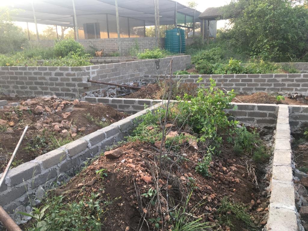 New Small Animal Clinic for ReWild Wildlife Centre GlobalGiving