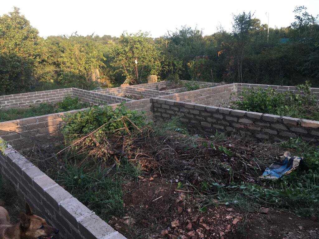 New Small Animal Clinic for ReWild Wildlife Centre GlobalGiving