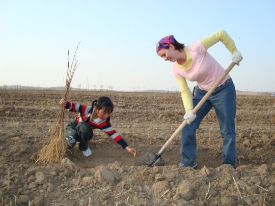 Plant 10,000 Trees in Northern China
