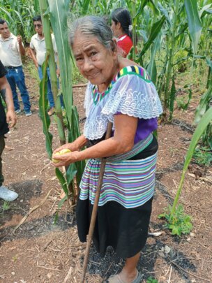 Strengthening the health of 99 Tseltal families.