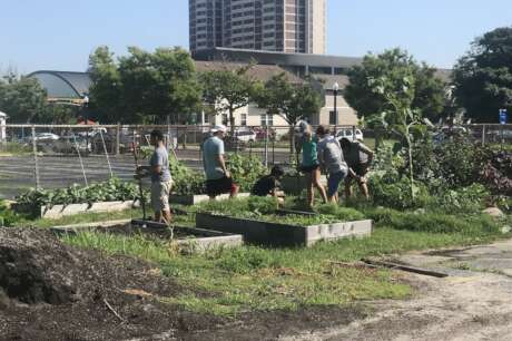 Build a US WaterHouse!