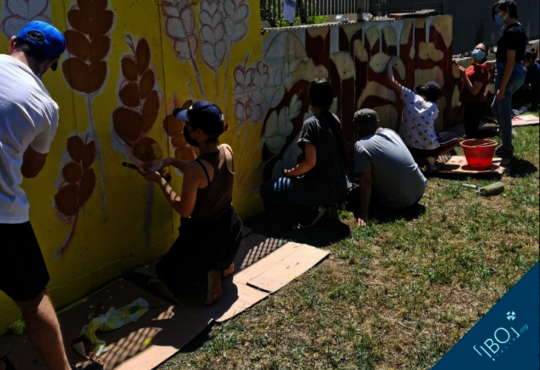 Summer solidarity trips for young people