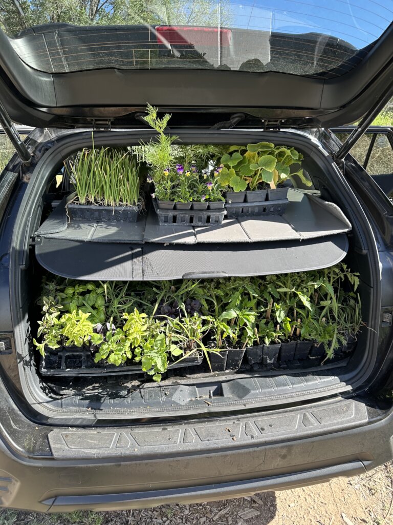 Feeding Community Facing Food Insecurity Globalgiving