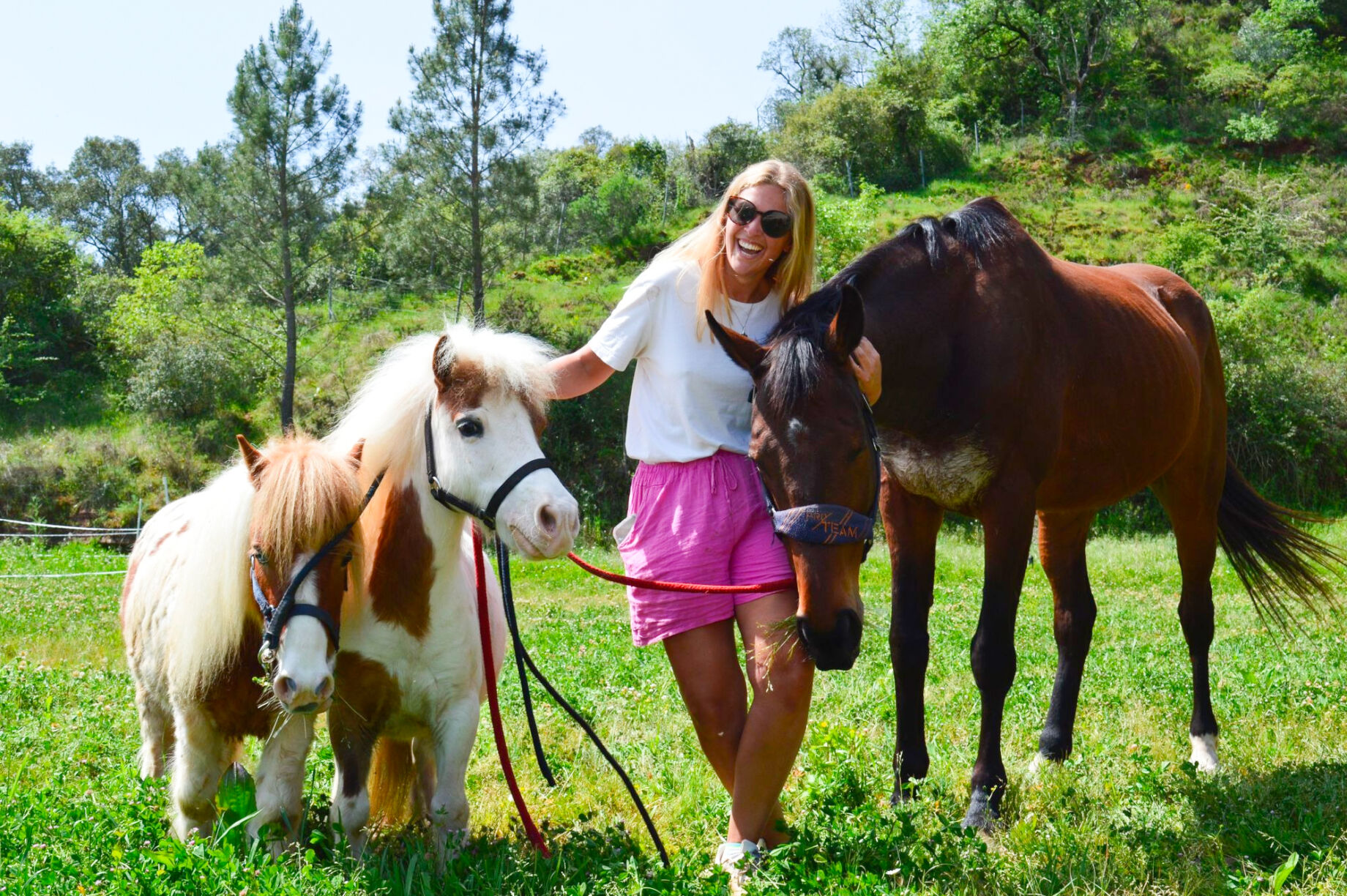 equine-therapy-for-residential-care-homes-children-globalgiving