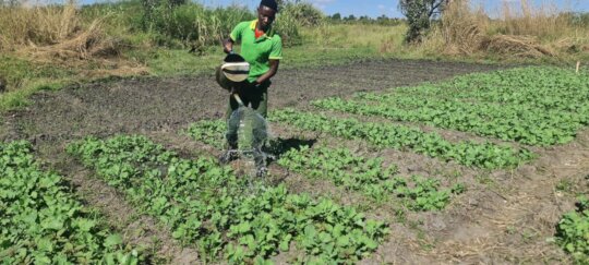 Solar Water Pump And Irrigation Project