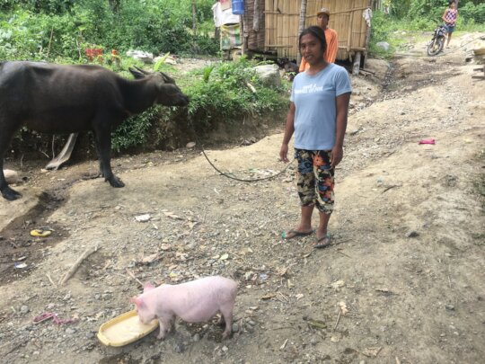 Supporting Small Business by Poor Entrepreneurs