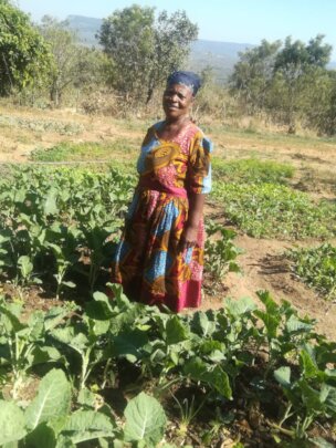 'TARIRO'  Give HOPE to 100 women in rural Zimbabwe