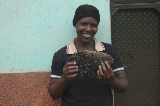 Help 65 poor women to start Beekeeping in Uganda