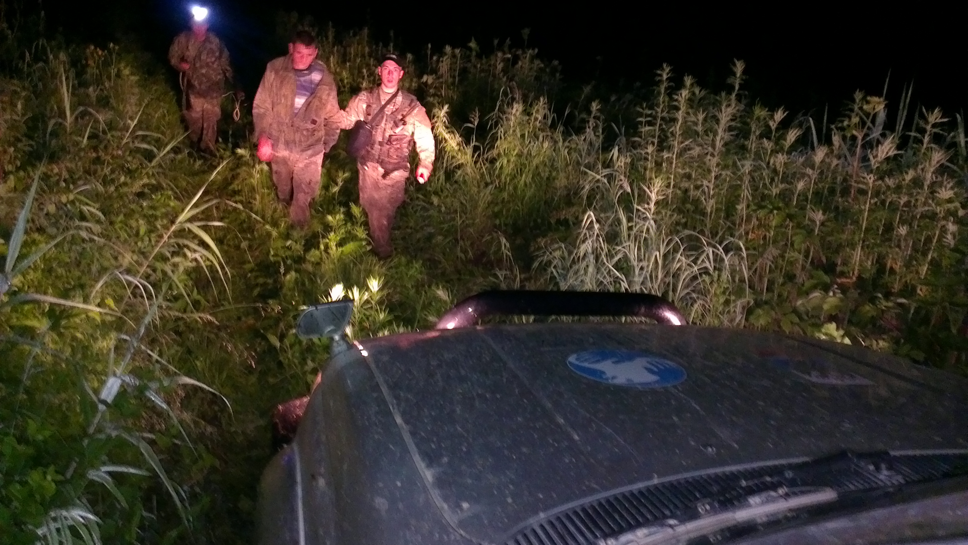 Photos from Help Save rarest 100 Amur Leopards from Extinction