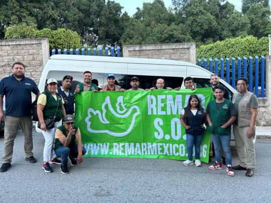 Humanitarian aid response. Crisis in Acapulco.