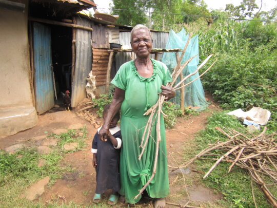 Elderly Widows Raising Orphans Need Food