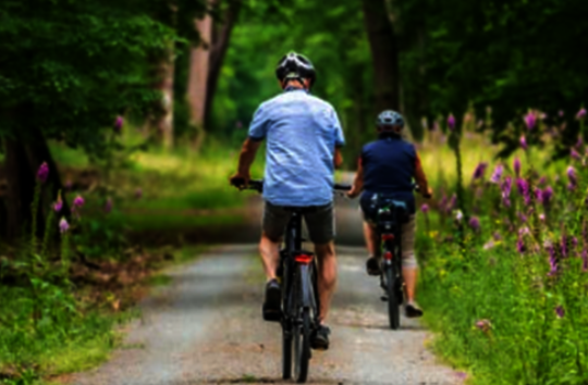 Freedom Cycles Project - Camp/Paradise Fire