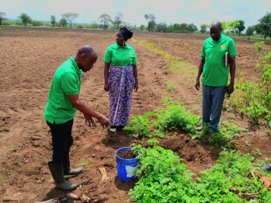 Nourish Tanzania:Fertile Soil, Flourishing Future!