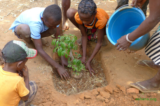Reforestation 2.0 in our villages in Madagascar