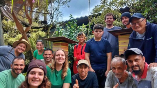 Beeworks Brazil:  Beehives for Forest Families