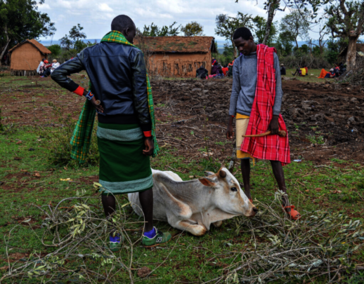 Help Kenyan Pastoralists Build Climate Resilience