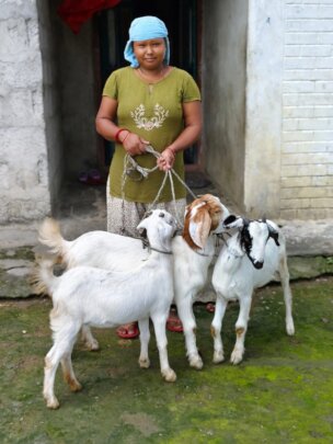 Empower Communities In Nepal through Goat Farming