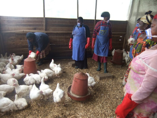 Help 300 Women in Bamenda Affected by Crisis