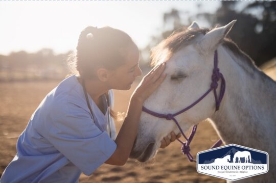 Sound Equine Options Veterinary Care Fundraiser